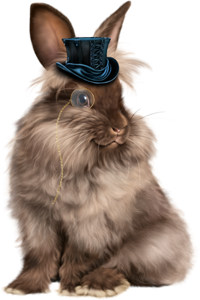 кролик в шляпе