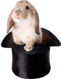 кролик в шляпе