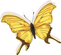 желтая бабочка