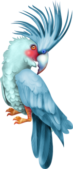 голубые попугаи