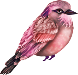 розовая птичка