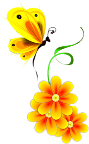 бабочка на цветке