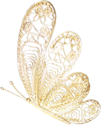 бабочки сетчатые