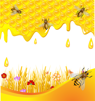 пчелы и соты