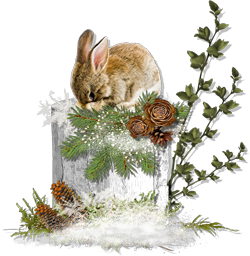 winter hare