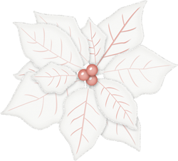 Рождественская звезда-цветок