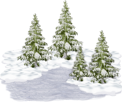елки под снегом