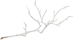 заснеженная ветка