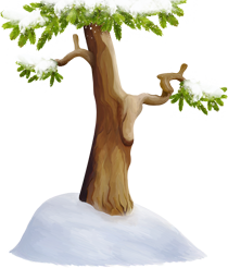 заснеженная елка