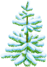 заснеженная елка