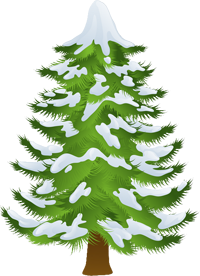 заснеженная елка