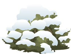 заснеженная елка