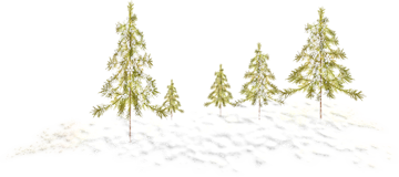 зимний пейзаж