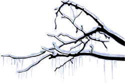 заснеженная ветка