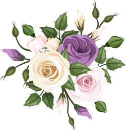 фиолетовые розы