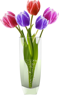 разноцветные тюльпаны