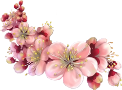 flowers of fruit trees