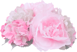 розовые цветы