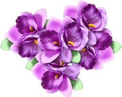 фиолетовые цветы