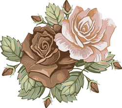 коричневая роза