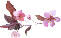 розовые рисованные цветы