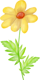 желтые рисованные цветы