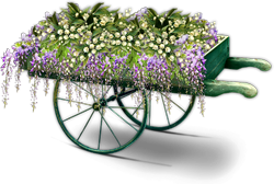 ландыши и цветы