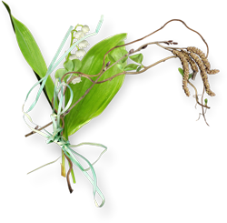 ландыши и цветы