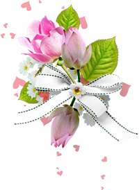 водяная лилия