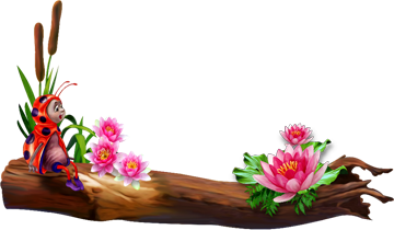 водяная лилия