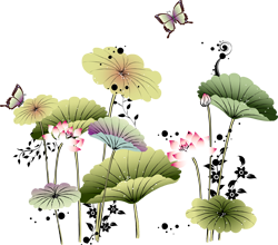 водяная лилия