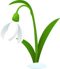 подснежник