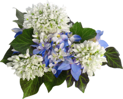 подснежник