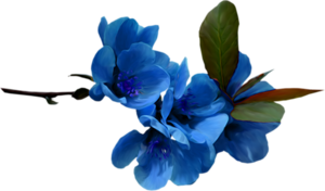 Синие цветы пнг на прозрачном фоне