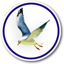 Интересные места Картограффан